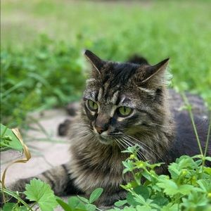 🔥SALE 3/$20 in Women’s, Men’s, Kid’s & Home